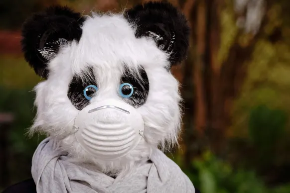 Rollers Kazino Pagalba